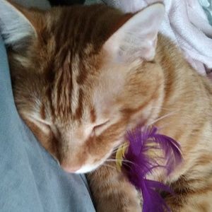 Meet your Posher, Erika